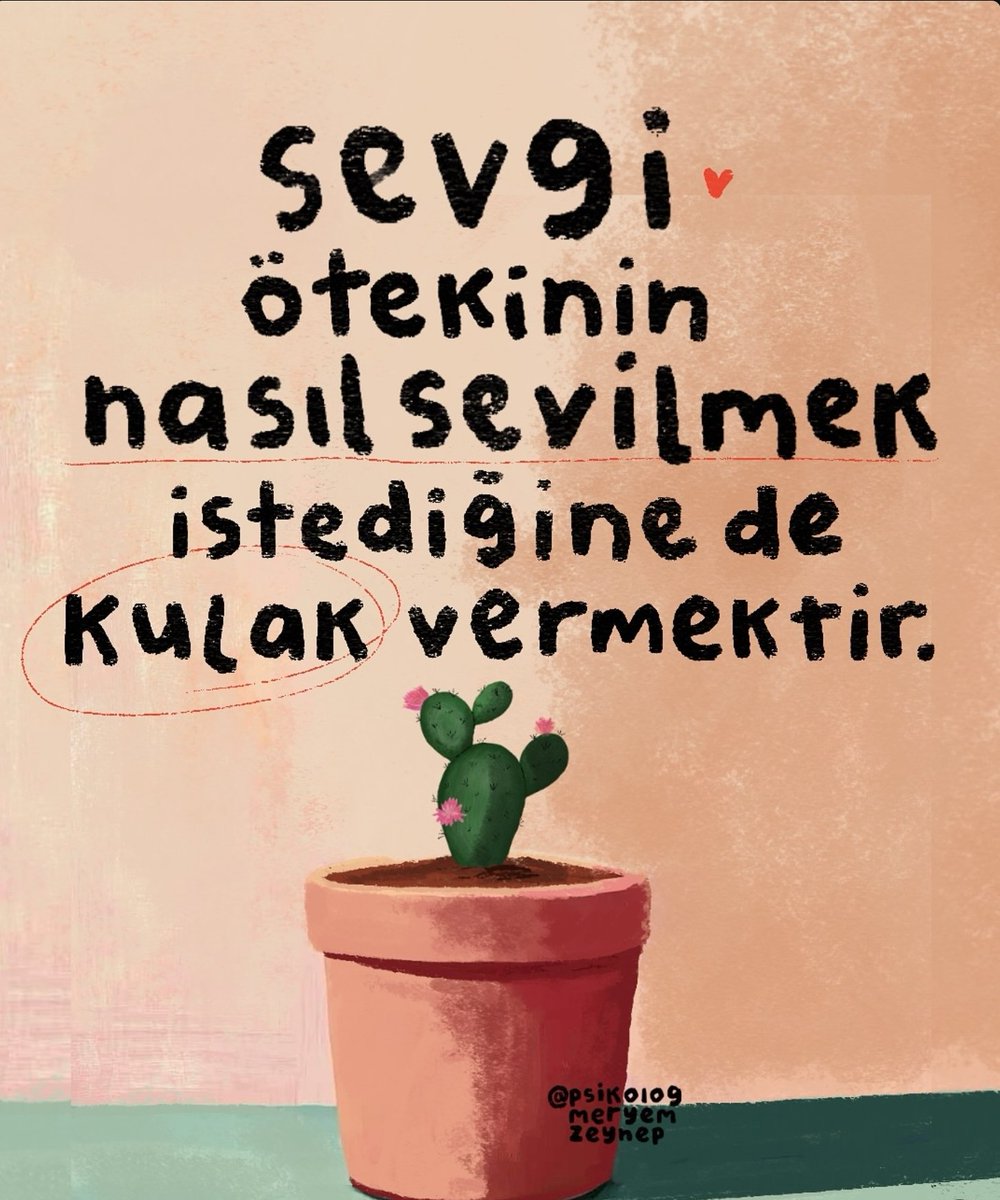 Ardıç Kuşu (@ardiskusu) on Twitter photo 