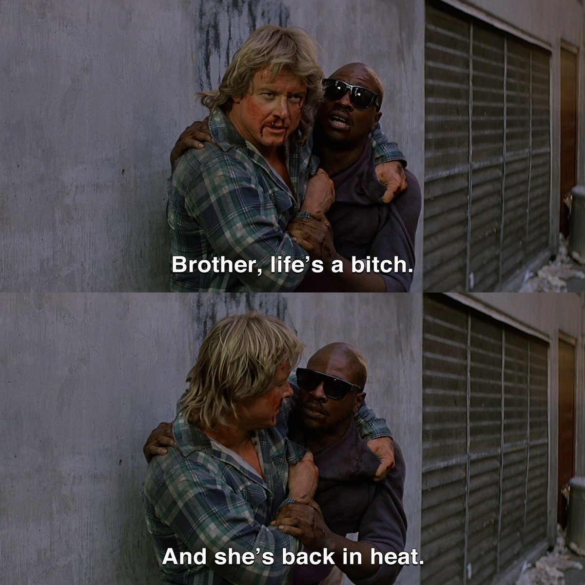 37 years ago... THEY LIVE