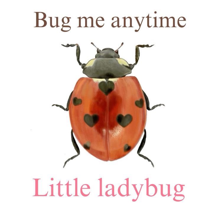 catploop's tweet image. #promotwt ✉⊹ 🌸🍨  !!! 

6teen  &amp;amp; Crazy  Ok ! !
     I FREAKING LOVE LIFE IS STRANGE . 
#twdtwt #listwt #patd #bandom ++ ! 
  （๑ ᷇ 𖥦 ᷆๑)♡ romancandles.straw.page