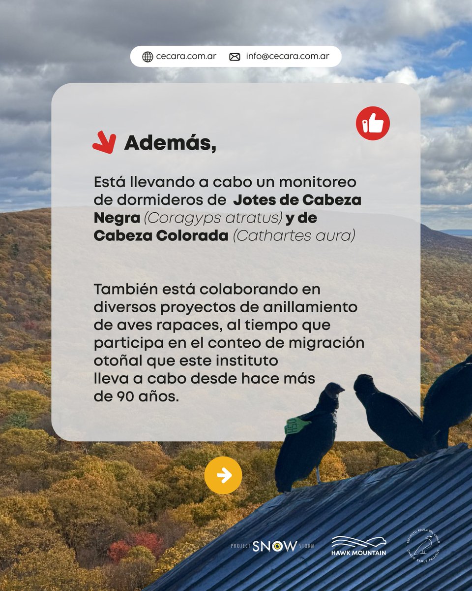 CECARA tweet media