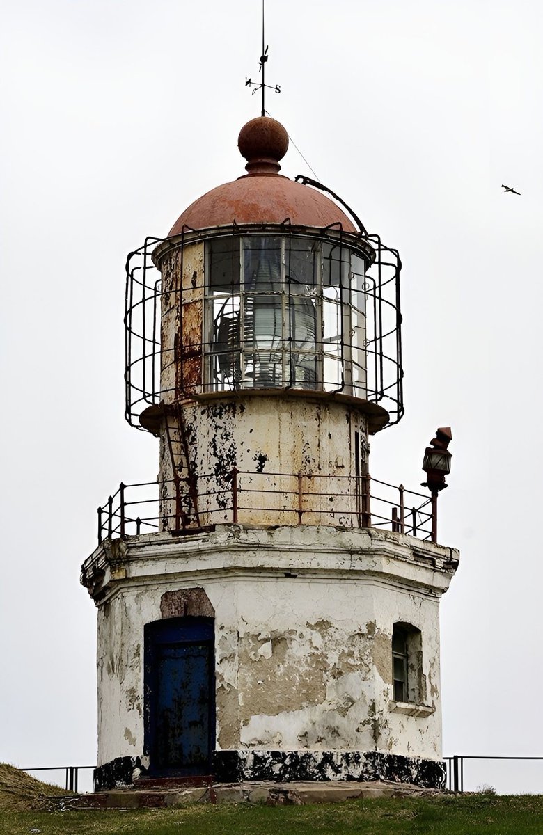 herman cornille. (@hcornille) on Twitter photo 