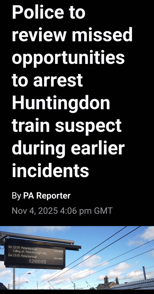 Donna Louise tweet media