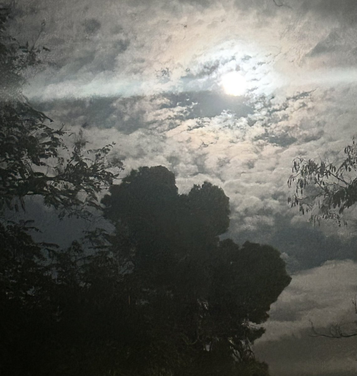 Ο ουρανός ανάβει τα φώτα 🎶🎶