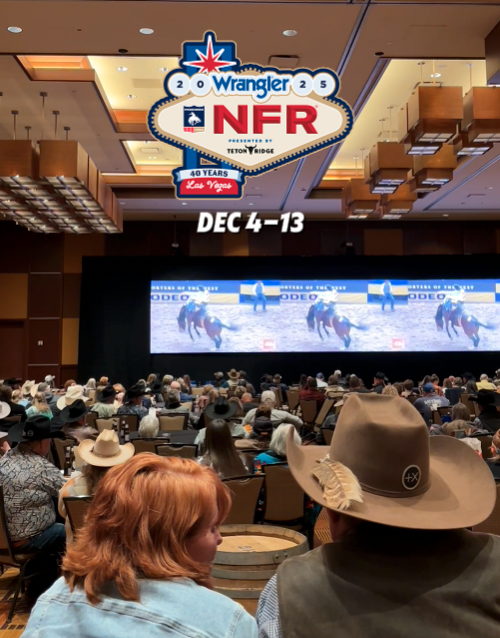 GoldenNuggetLV's tweet photo. The countdown is on - just 1 month until NFR! 🐎🎉 Free viewing, shuttles to the rodeo, barrel racer signings, live entertainment, and all the Vegas fun you can handle. Who’s ready?! ✨
#NFR2025 #VegasEvents #Rodeo #LiveEntertainment #NationalFinalsRodeo #FreeViewing https://t.co/xxF5KxOUbG