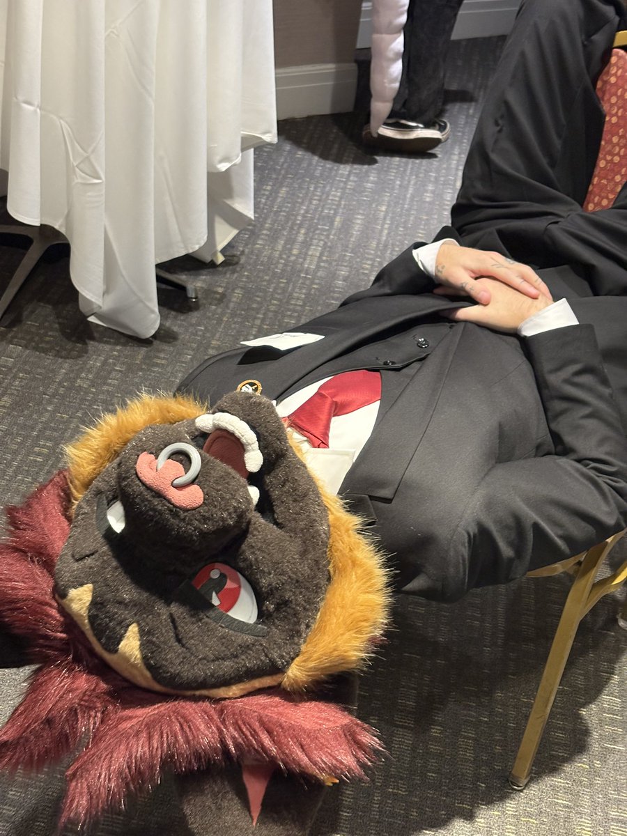 This is my lawyer dog how cooked am I?