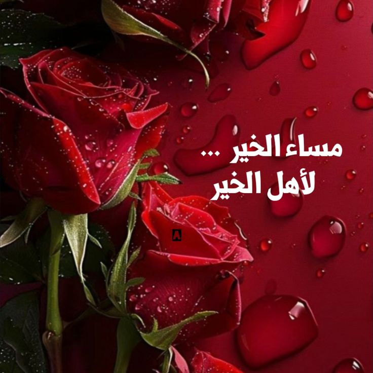 ذي يزن الخطيب tweet media