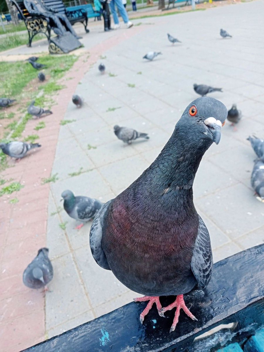 xacshecstasy's tweet image. Hate Me