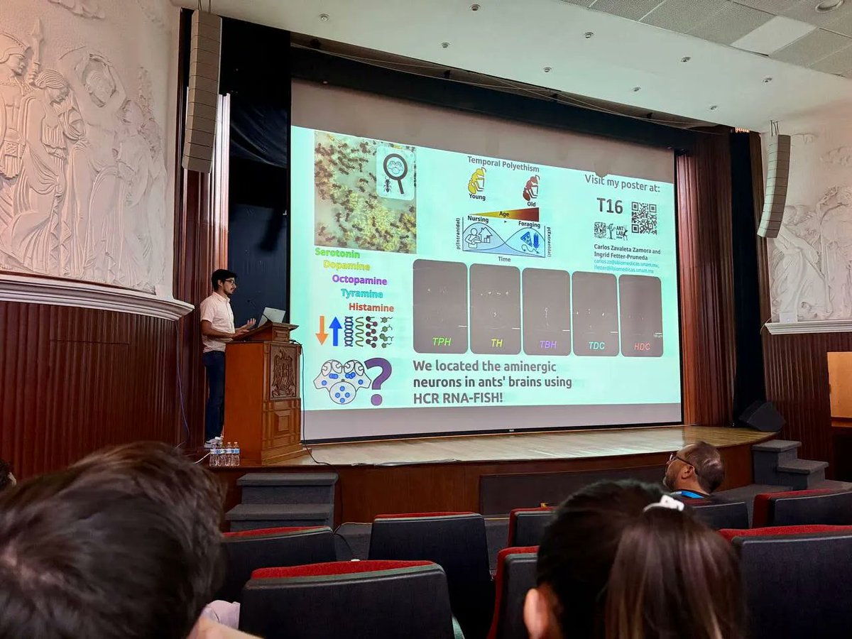 FacMedicinaUNAM's tweet image. La Licenciatura en Neurociencias se consolida como un semillero de talento científico de alto nivel gracias a la participación de sus estudiantes, egresadas y egresados en el VI Congreso de Neurobiología, organizado por la @SmbMex n9.cl/pki74k #GacetaFacMed