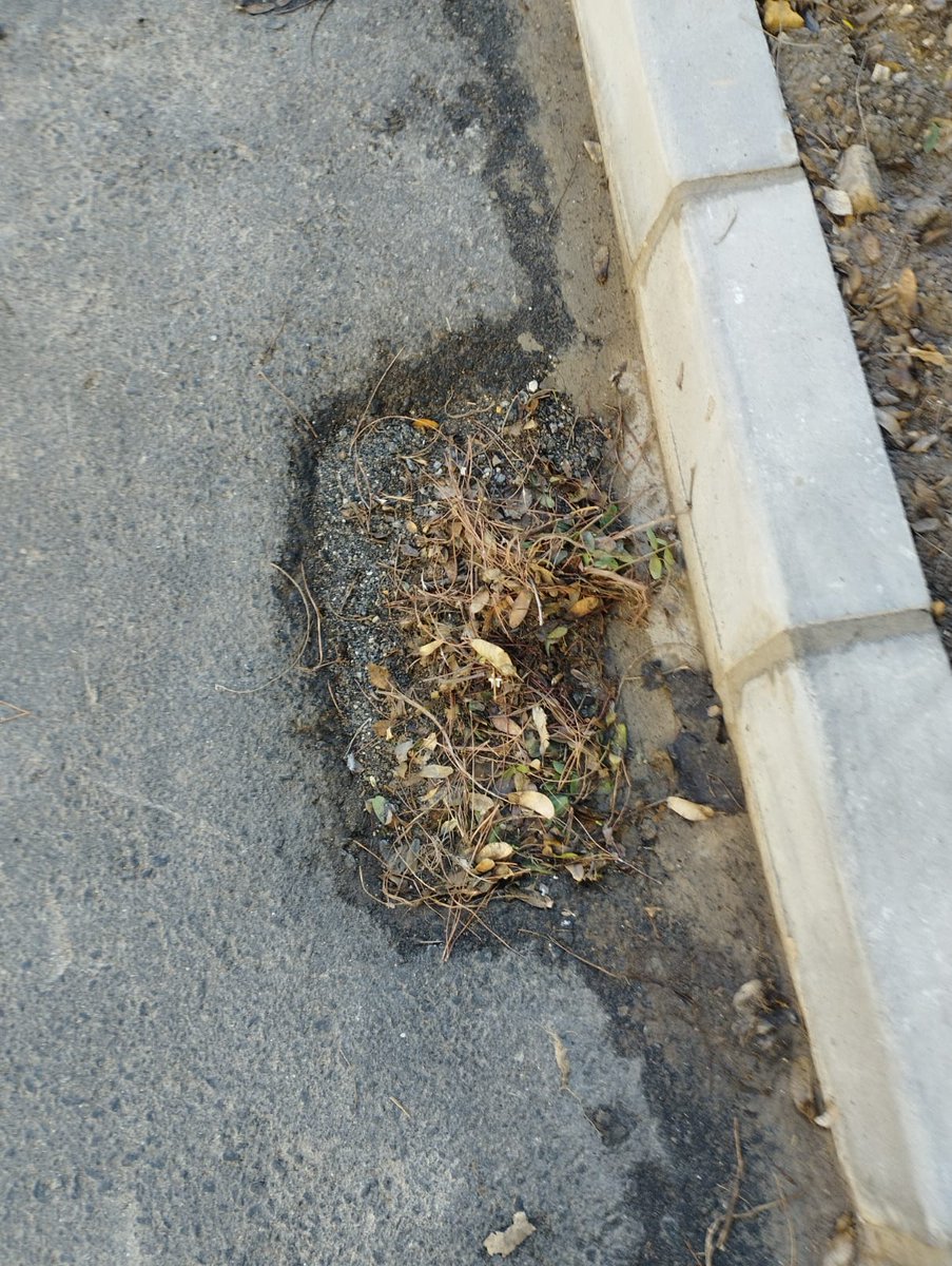 Cuando mañana tengamos el agua💧por la cintura diremos que la culpa fue de la <a href="/AEMET_Esp/">AEMET</a> y que todo el alcantarillado estaba limpio y con el mantenimiento a punto.
Poco nos pasa con <a href="/jlsanzalcalde/">José Luis Sanz</a> al mando.