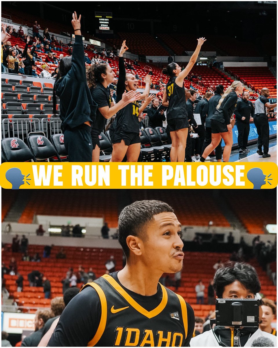 supportVSF's tweet image. The Palouse is Silver and Gold!! 💛🖤

@VandalHoops &amp;amp; @VandalWBB open the season with wins over WSU! The women’s first in 22 years &amp;amp; the men wire-to-wire!

Support their momentum and celebrate the wins:
WBB: giving.uidaho.edu/campaigns/depa…
MBB: giving.uidaho.edu/campaigns/depa…

#GoVandals #VsUP