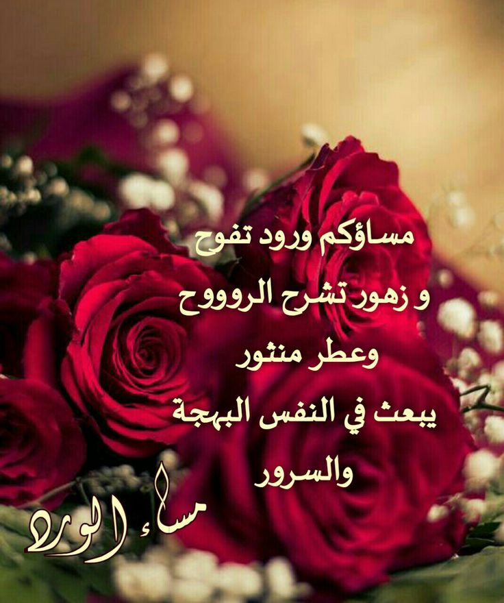 ذي يزن الخطيب tweet media