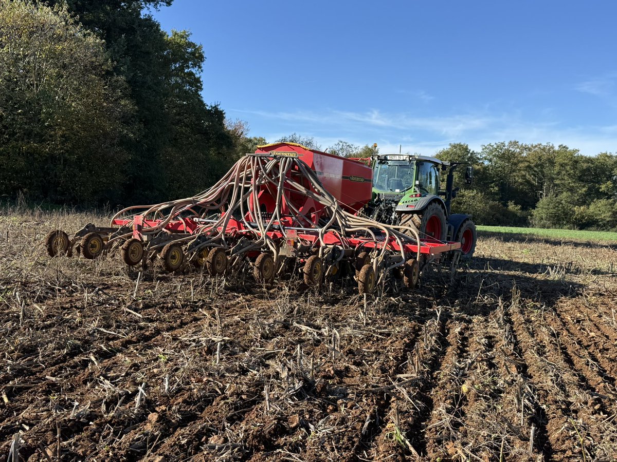 Master_BT's tweet image. Reprise des semis de blé #ACS
Portance excellente.
Retour dans les parcelles plus rapide que en TCS
Essaie densité basse à 160gr et haute à 300 (base 260)
Comparaison variétés, mélange etc

Se comparer à soi même tout les ans avec des variables différentes pour avancer ⏭️