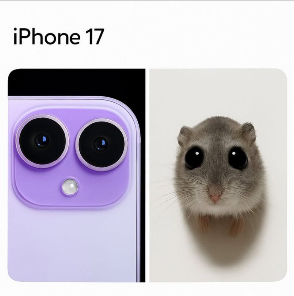 chaotic memes (@memechaotic) on Twitter photo 