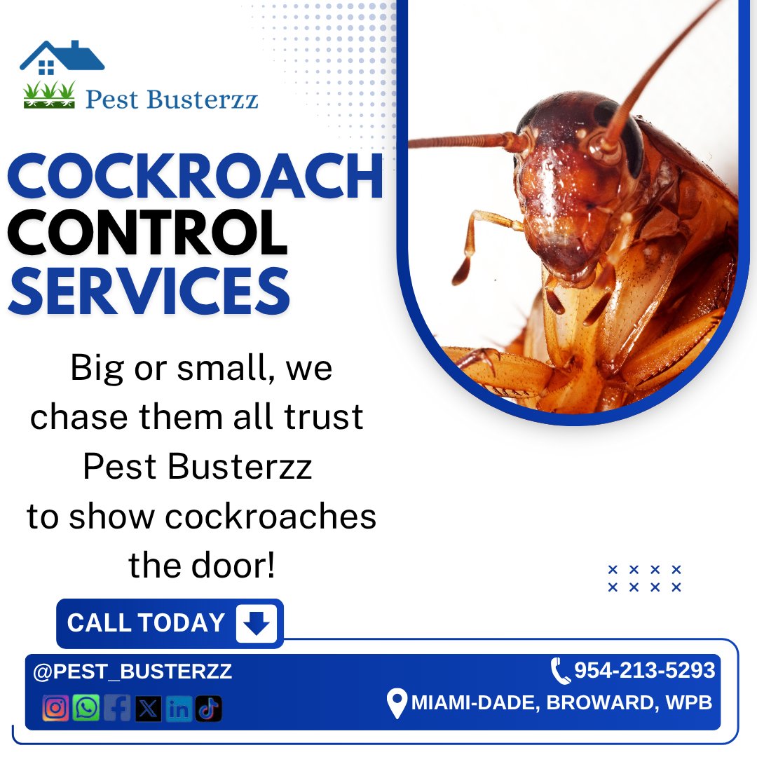 pest_busterzz's tweet image. Let Pest Busterzz handle your cockroach control the professional way! Enjoy a cleaner, healthier home with our expert pest control fast, friendly, and guaranteed. Choose Pest Busterzz for your peace of mind! #PestBusterzz #PestControl #Cockroachcontrol pestbusterzz.com/pest-control-c…