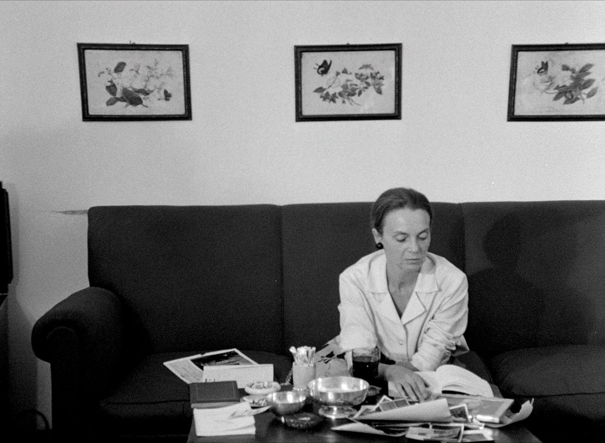 The Theater of the Matters tweet media