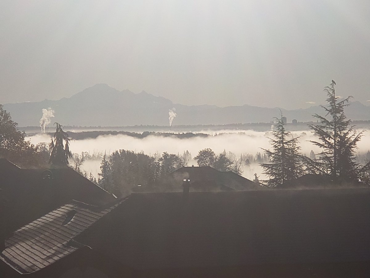 Foggy morning in the Fraser Valley east of Vancouver, here above the confluence of the Pitt and Fraser Rivers.

<a href="/MMadryga/">Mark Madryga</a> <a href="/BCNewsAddict/">BCNewsAddict</a> <a href="/BCstormwatch/">BCstormwatch🇨🇦</a> <a href="/RandySmall/">Randy Small - Whatcom County Weather</a>