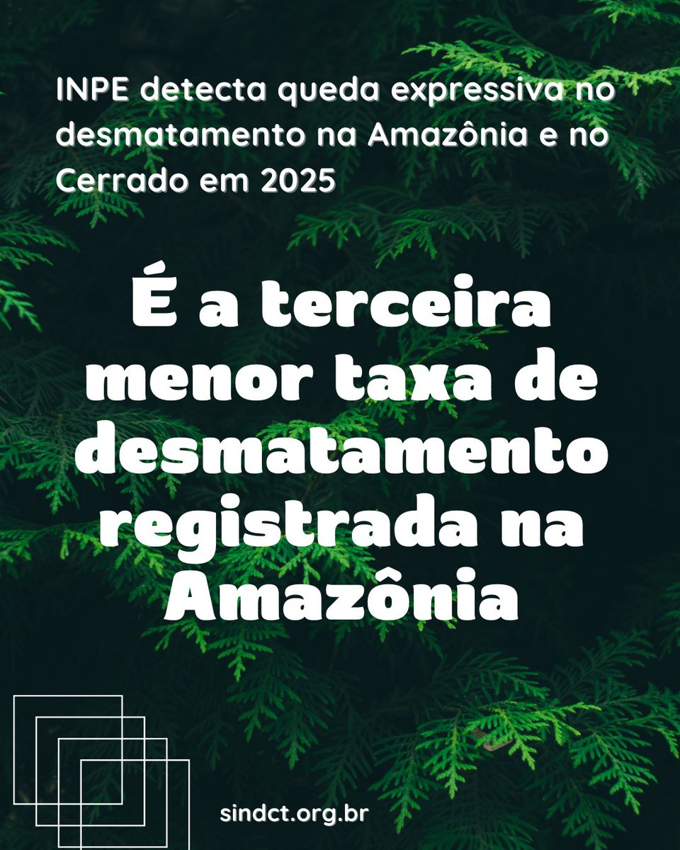 O resultado reforça a tendência de desaceleração do desmatamento observada desde 2023 e representa uma queda acumulada de 50% em relação a 2022 - Leia no site do SindCT: sindct.org.br/sindct/comunic…