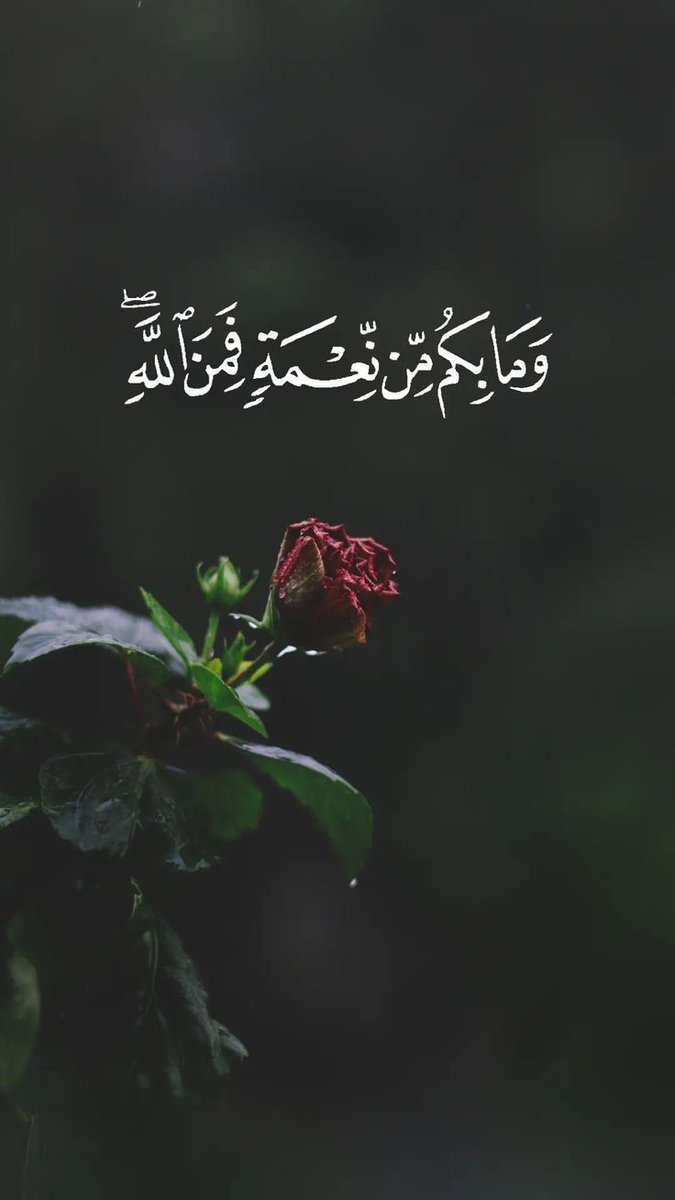 مُطمئِنةَ.! tweet media