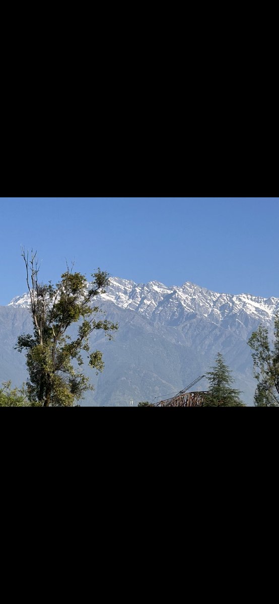 Honored to address at inaugural, chair session at National Science Communication Workshop by <a href="/CSIR_NIScPR/">CSIR-NIScPR</a> <a href="/CSIR_IHBT/">CSIR-Institute of Himalayan Bioresource Technology</a>⁩ Palampur Himachal. NIScPR Director Geetha Vani Rayasam welcomes, IHBT Director Sudesh Yadav chairs, IHC Director KG Suresh inaugurates. pib.gov.in/PressReleasePa…