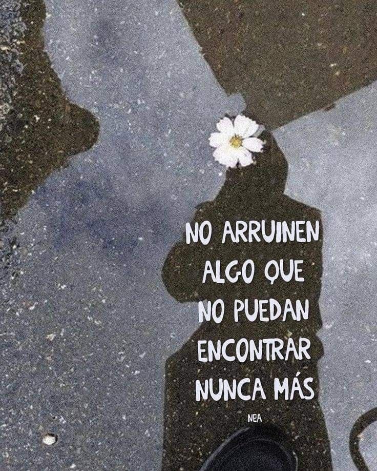 🌙 mini textos (@soyminitextos) on Twitter photo 