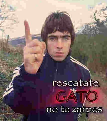 definitelylua's tweet image. you better get on your knees and pray
panic is on the way 🎸 rescatate gato