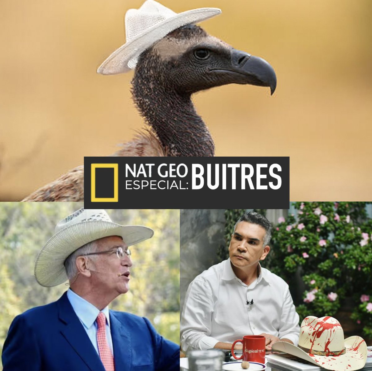 PonchoGutz's tweet image. 