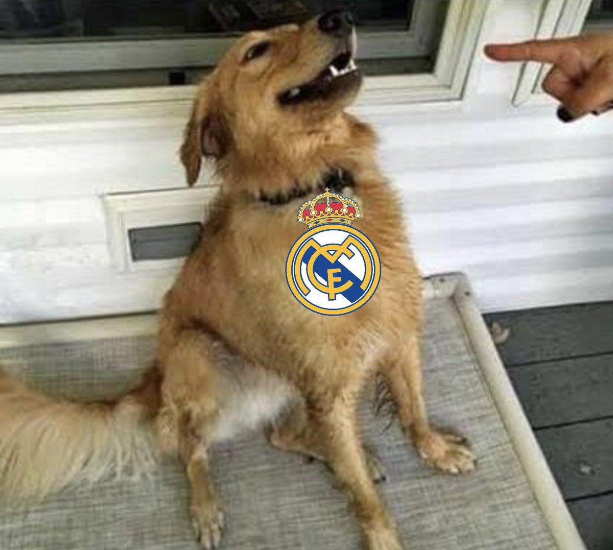 madrid_total2's tweet photo. Real Madrid, no vayas a revivir al Liverpool… https://t.co/jW9eB1ZSw7