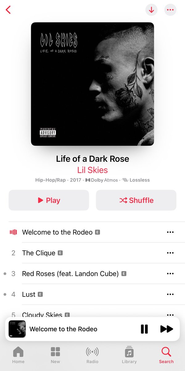 Timeline cleanse, not a single miss on this album.