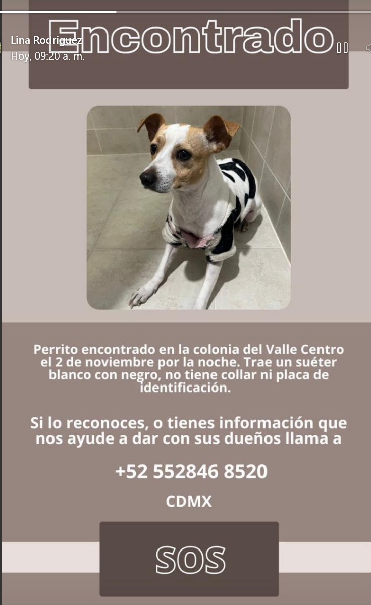 Perrito encontrado <a href="/En_laDelValle/">En la Del Valle</a>