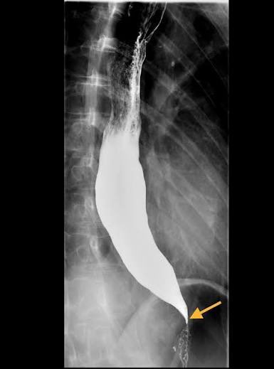 ريان | MD1TALK🌟 tweet media