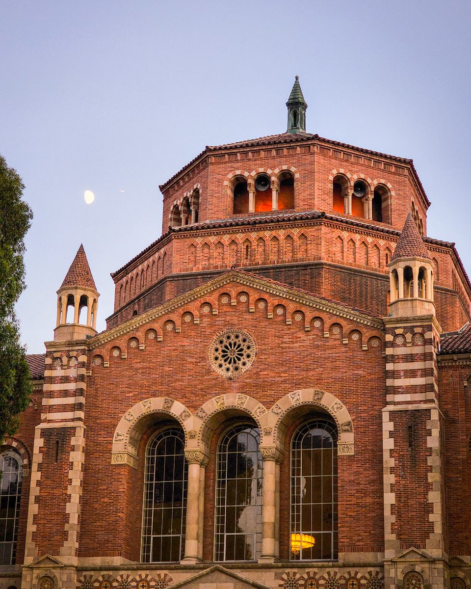 UCLA Summer Sessions tweet media