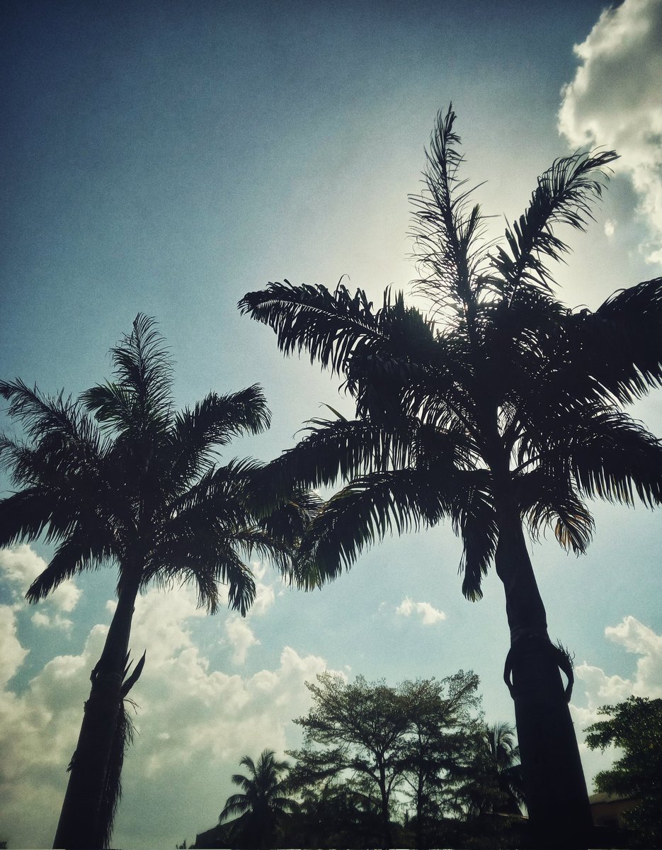 kelvinCWL's tweet photo. Calm under the green https://t.co/Dr2udqAXxy