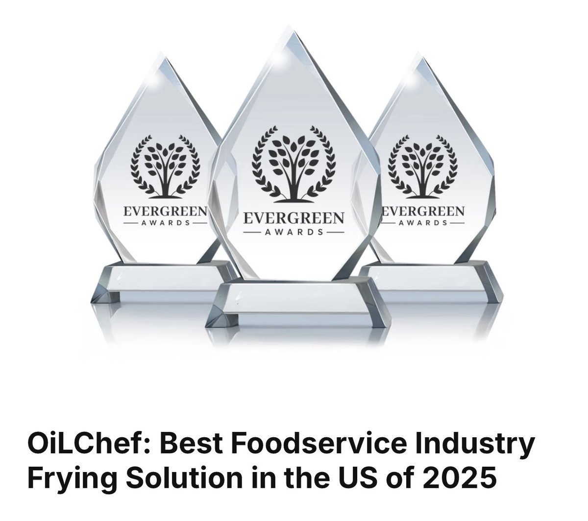 OiLCHEFdotCom's tweet image. Winner of Best Innovation for Deep-frying in USA 2025 #oilchef #bestawards #deepfrying #deepfryer