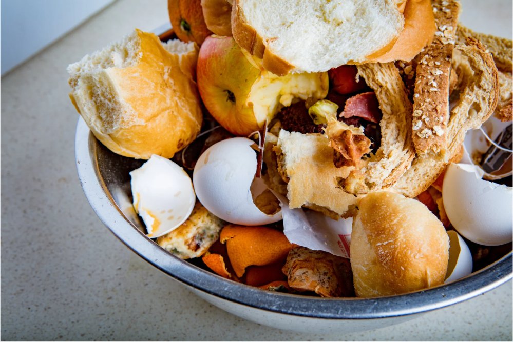 Our Make One Change campaign has officially launched, with an exciting programme of free events taking place in library branches across the county throughout November.

From workshops and author talks to presentations by experts and fun competitions, you’re sure to find something