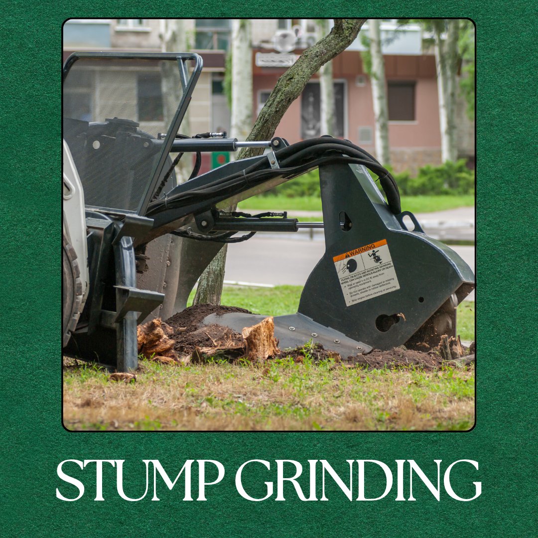 We know how frustrating leftover stumps can be. With our #StumpGrinding services, we remove hazards and restore your landscape's smooth surface. Contact us for fast service!
philcampbelllandandlawn.com