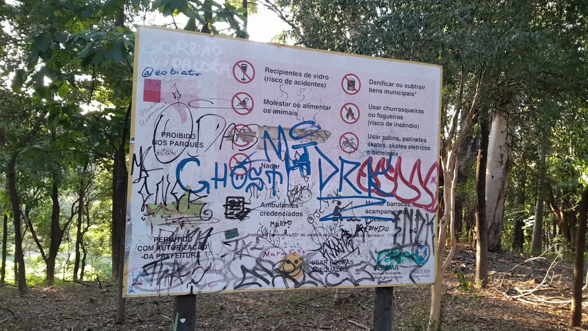 tinho_ramos's tweet photo. @disfigured_cell Sou de Curitiba, dentro dos parques, onde não tem ciclovia, não pode andar de bike. Encontrei essa imagem no google, não posso garantir que é no parque da rua do porto, mas ali embaixo diz que é em Piracicaba! https://t.co/qxdLXimKcu