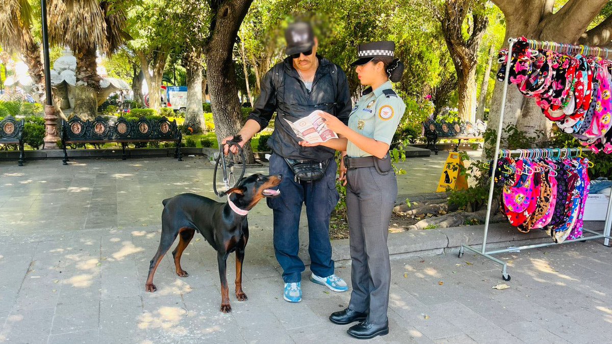 GN_MEXICO_'s tweet photo. Con objeto de conocer las necesidades de la población en materia de seguridad y fomentar la cultura de la denuncia, integrantes de la #GuardiaNacional realizan recorridos preventivos y de proximidad social en calles y parques de la capital de #SLP. Con estas acciones se fortalece la confianza ciudadana. 
Somos #GuardianesDeLaSoberanía
