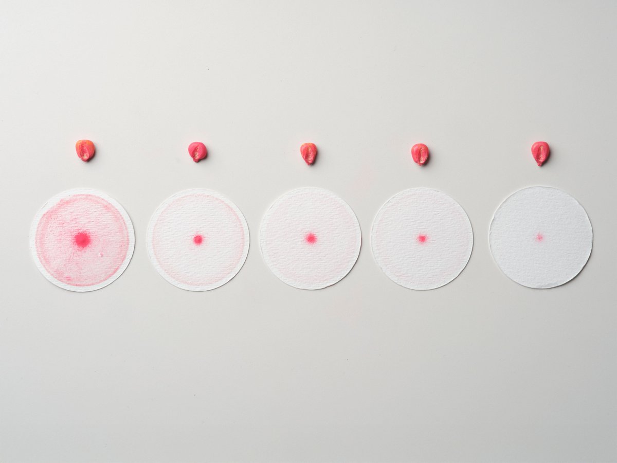 <a href="/Michelman/">Michelman</a> turns the tide on seed coatings: moving from synthetic binders and microplastics to biodegradable, high-performance alternatives aligned with EU regs.

#Insiders #SeedCoating

hubs.li/Q03Rf--f0