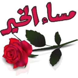 حروفنا عجيبة..
فمن قراها ظن أننا..عشاق..
ومن فهمها ظن أننا ...موجوعين..
ومن لم تعجبه ظن أننا ..بدون مشاعر.
لكن...
تبقى الحقيقة وراء الكواليس
فلا أحدٍ يعلم ماوراء كل منا..

🌸#أسعدالله_مسائكم_بكل_خير🌸