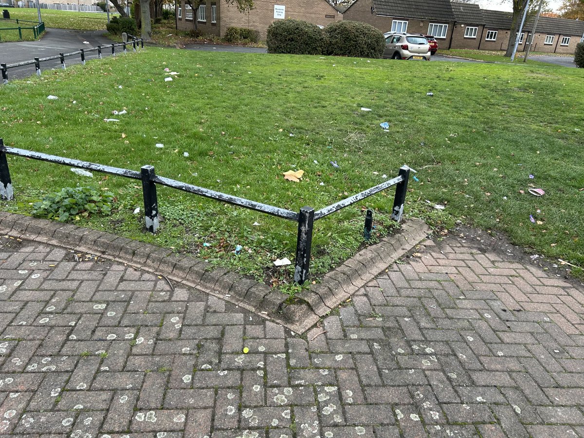 CllrPhilHarris's tweet photo. Have had to report litter and other issues today after being in the ward. #LoveHoughGreen #LoveWidnes https://t.co/7R4XHvpbNT
