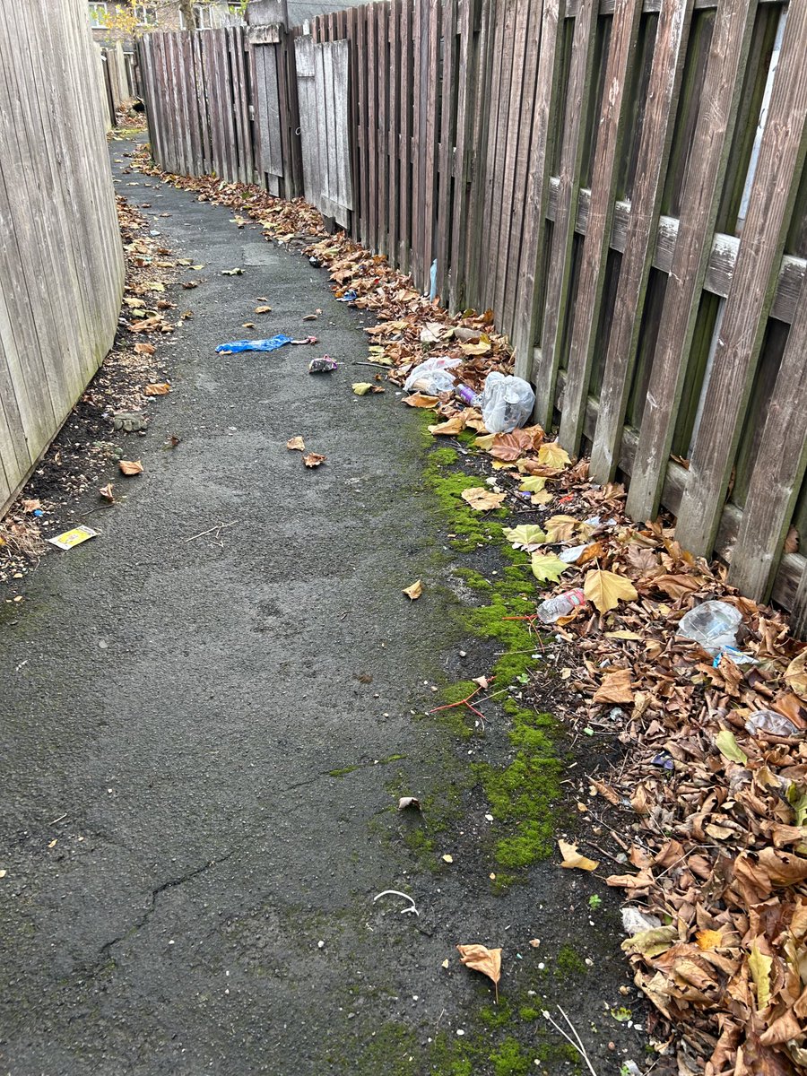 CllrPhilHarris's tweet photo. Have had to report litter and other issues today after being in the ward. #LoveHoughGreen #LoveWidnes https://t.co/7R4XHvpbNT