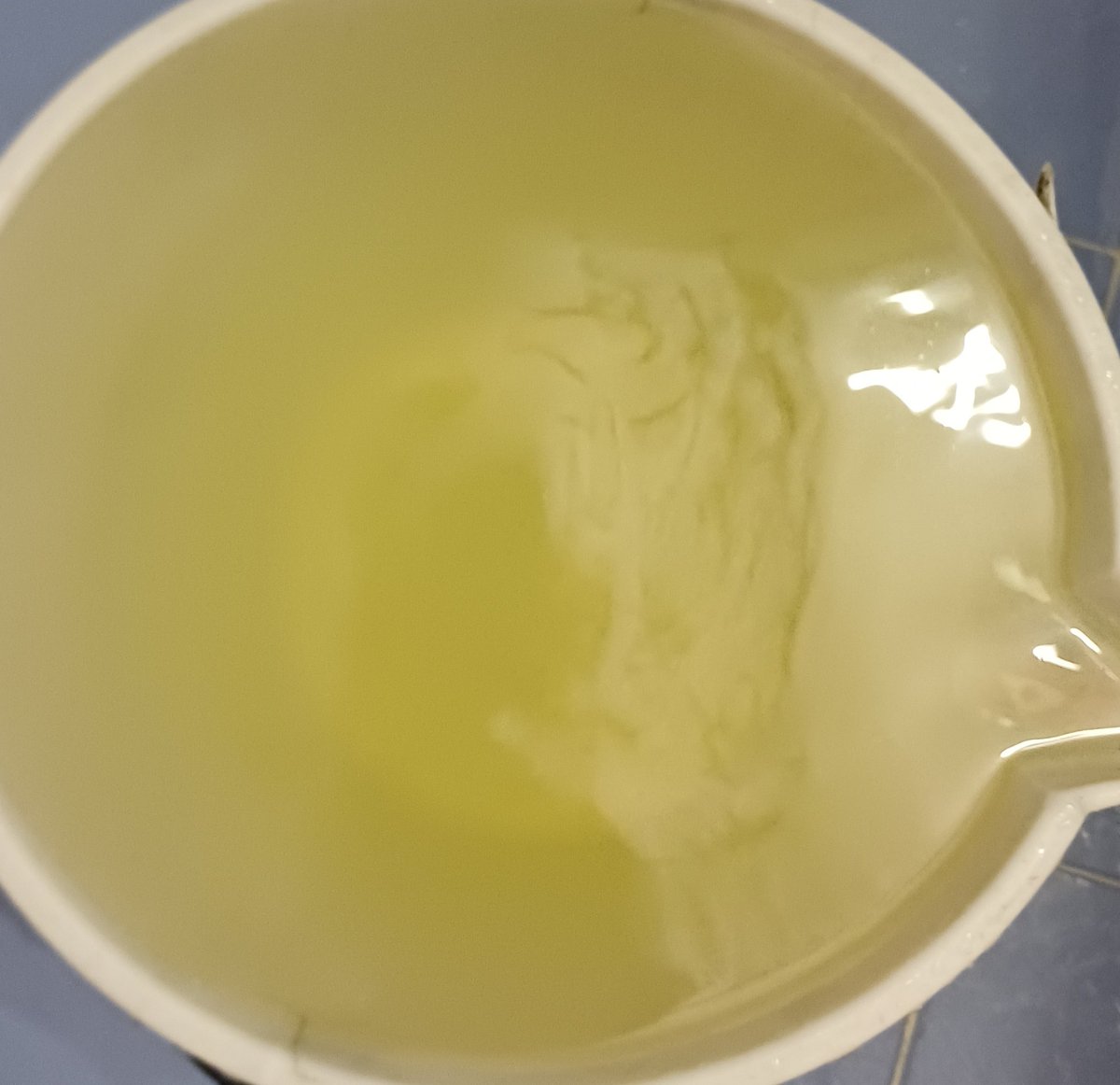lapatty09's tweet photo. @AcueductoBogota @alcaldiausaquen @Bogota Y quien responde por nuestra ropa manchada? Lleva más de 2 semanas en esta situación, esta saliendo el agua por todas las tuberías y esta "mejorcita" se pagan impuestos altos y así recibimos un servicio? https://t.co/zhxHFlm5iE