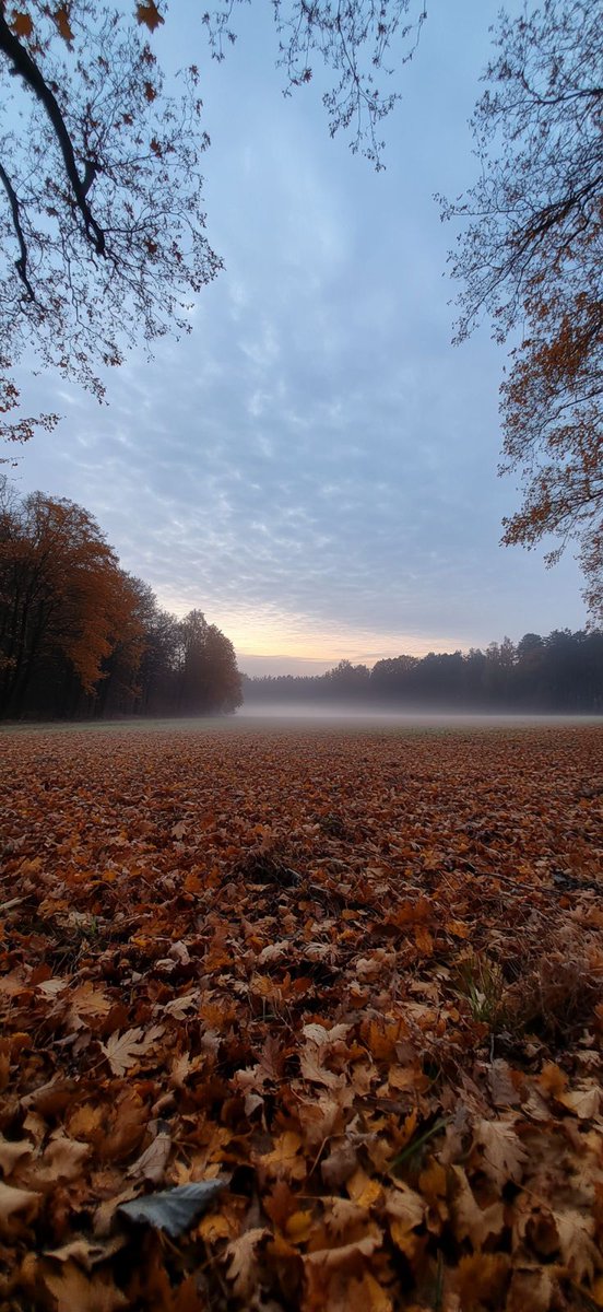 De #herfst is mooi! 🍂
