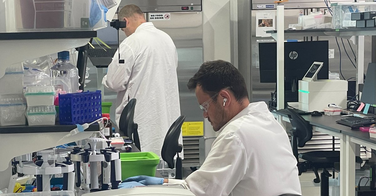 ElegenBio's tweet image. 👀#BehindTheScience Breakthroughs🧬 
We’re proud of #TeamElegen—our innovators, scientists &amp;amp; engineers driving the Gen II #CellFreeDNA Platform forward. Their ingenuity is making #DNA faster &amp;amp; more accessible than ever.👏

👉bit.ly/4nMG01W

#Innovation #GeneticMedicine