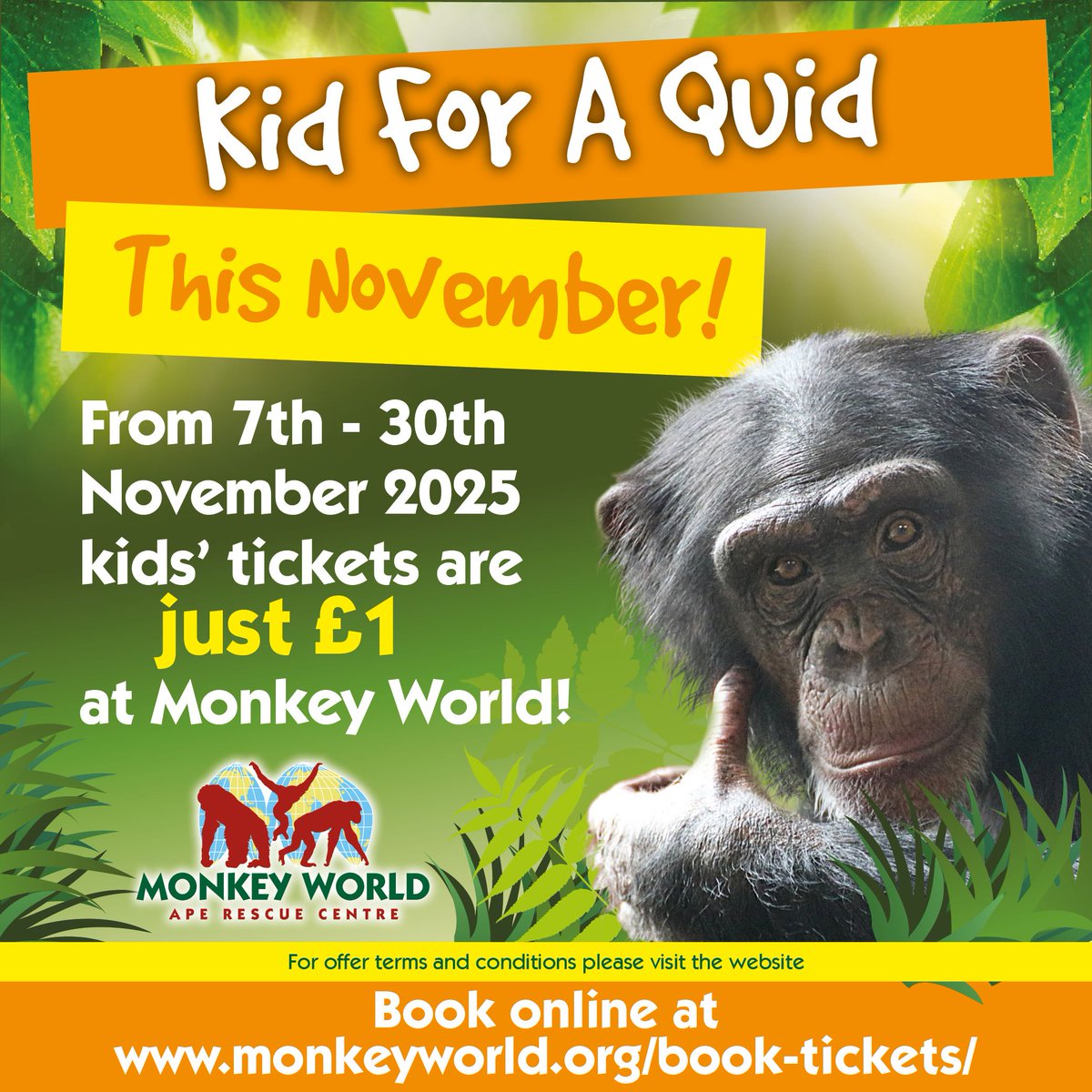 Kid 4 a Quid at Monkey World this November!
Children's tickets are just £1 from 7-30th November. Bring your families to meet their primate cousins, including baby orphaned orangutans, Kiwi and Sibu! 
Book online for best prices for accompanying adults. See website for T&amp;Cs!