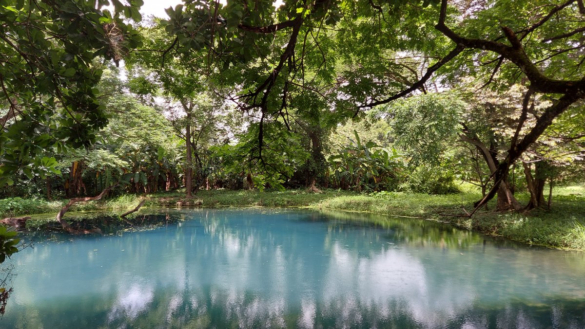 🌞 ¡Descubrí Granada como nunca antes! 🌿

💦 Isletas y Aguas Amargas – dejate llevar por el agua y relajate en paisajes que parecen sacados de un sueño.

👉mapanicaragua.com/paquete-turist…

#NicaraguaÚnicaOriginal #VisitaNicaragua
