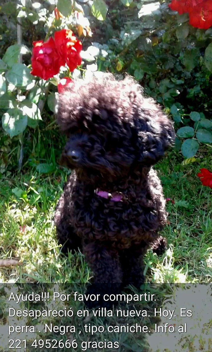 📢🙏🏻🙏🏻🙏🏻🙏🏻🙏🏻