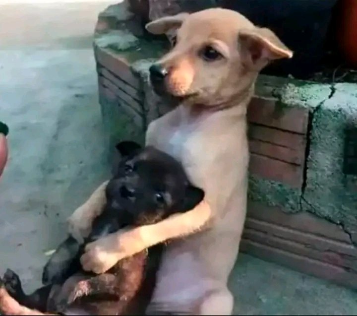 Me comfortable with my broke boyfriend because Love is better than Money 🌝