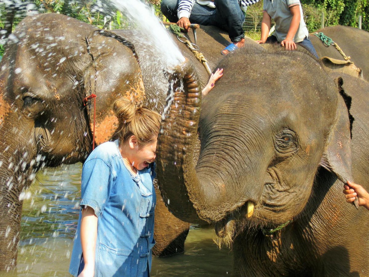 ProjectForest_'s tweet image. Meet Norine Shim — Project Forest’s new COO!
A lifelong adventurer, conservationist &amp;amp; leader, Norine brings vision, courage &amp;amp; care to every challenge. We’re so excited for what’s ahead. 
projectforest.ca/contact-us
#Leadership #Conservation #WomenInLeadership #ProjectForest