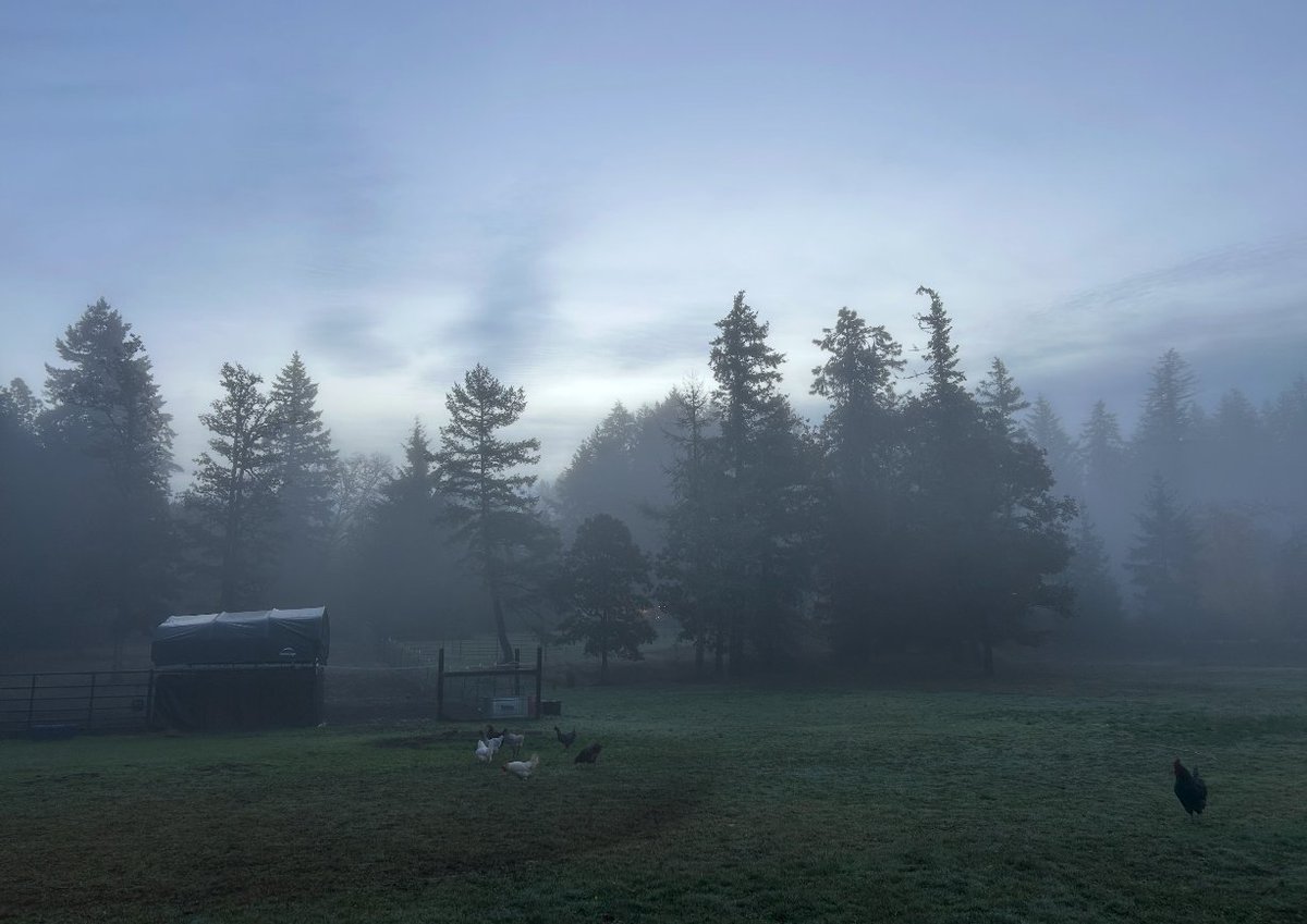 This is my hot take for the morning: